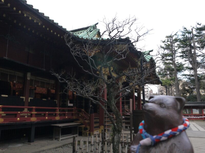 根津神社～東京・根津 2009年12月