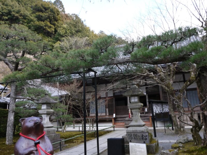 最勝院(高徳庵)～京都 2014年2月