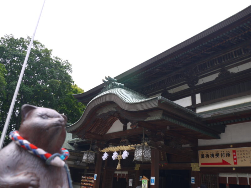 伊豫豆比古命神社(椿神社)～愛媛・松山 2022年5月